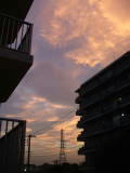 DSCF0277.jpg