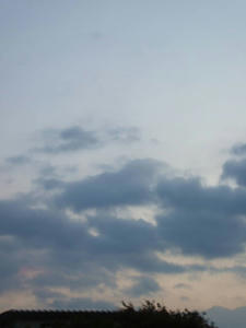 DSCF0332.jpg