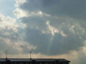 DSCF0366.jpg
