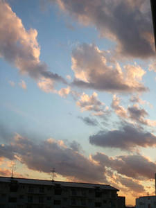 DSCF0373.jpg