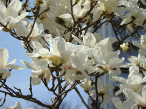 DSC00025.jpg