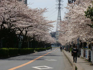 DSC00091.jpg