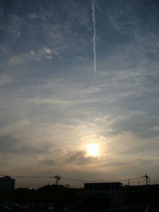 DSC00258.jpg
