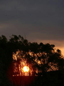 DSC00326.jpg