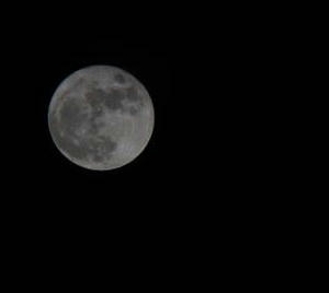 DSC00327.jpg