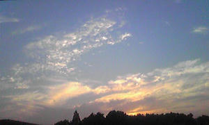 Image706.jpg