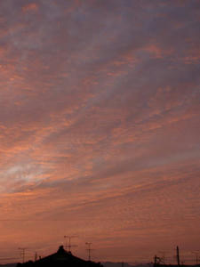 DSC00691.jpg