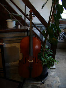 DSC00649.jpg