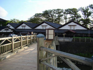 DSC00671.jpg