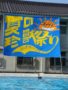 DSC00699.jpg