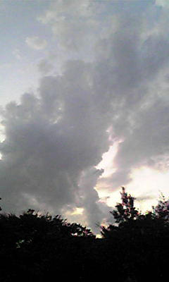 Image074.jpg
