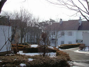 DSC00915.jpg
