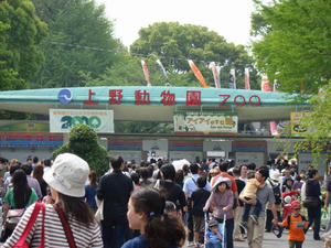 DSC01053.jpg