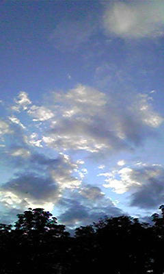 Image283.jpg