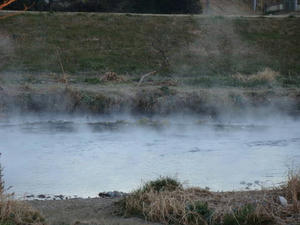 DSC01316.jpg