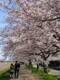 DSC01501.jpg