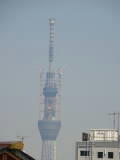 DSC01513.jpg