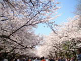 DSC01527.jpg