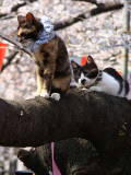 DSC01535.jpg
