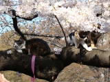 DSC01536.jpg