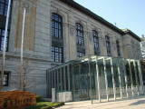 DSC01549.jpg