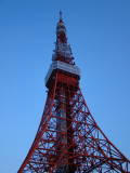 DSC01559.jpg