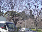 SN3D0056.jpg