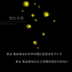 惚たる蛍