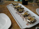 oyster