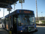 blue bus 7