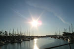 marinadelray