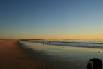 dogbeach
