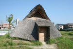 toroiseki