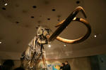 museum