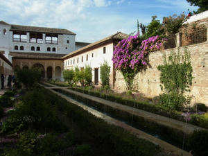 RIMG0411.JPG