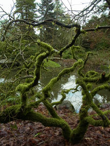 f0532731.JPG