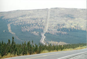 scan0002.jpg