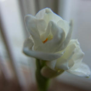 5f260872.JPG
