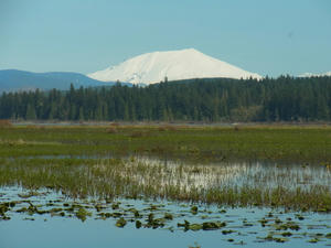 Mt.St.Helen1.JPG