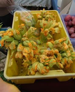 1fda1bcb.JPG