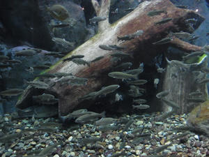RIMG2656.JPG