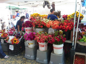 flower.jpg