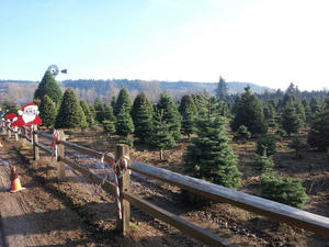 20111203_134325.jpg
