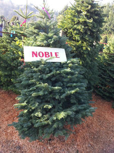20111203_135614.jpg
