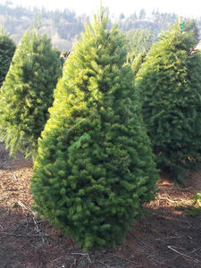 20111203_142511.jpg