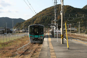 bf96df40.JPG
