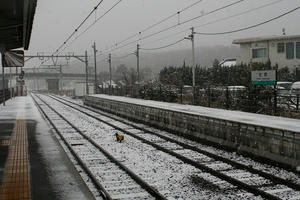 s-IMG_1612.jpg