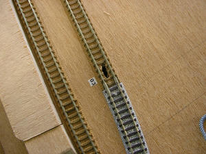 s-kP1010020.jpg