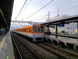 82a15114.jpeg