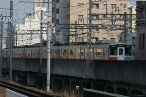 s-rIMG_1516.jpg